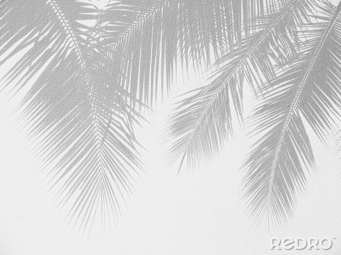 Fotobehang Grijze palmbladeren