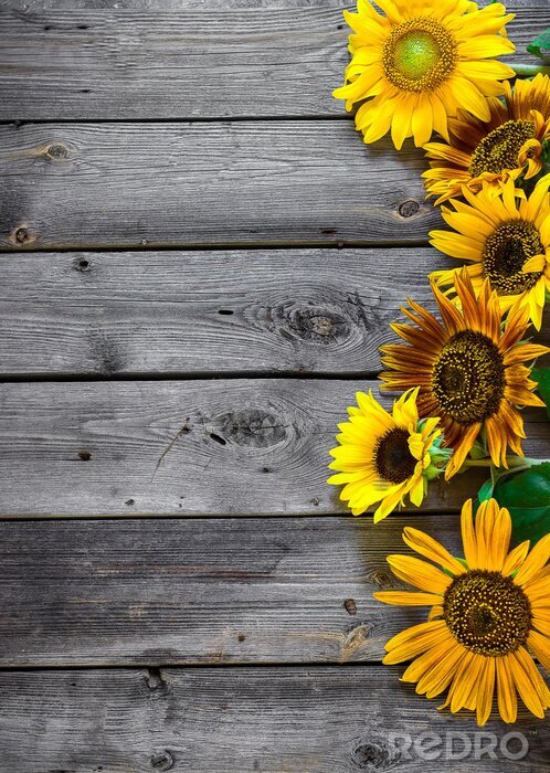 Fotobehang Grijze planken en zonnebloemen