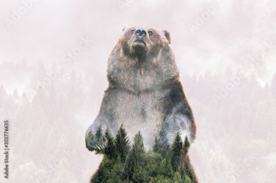 Fotobehang Grizzlybeer en boscontouren