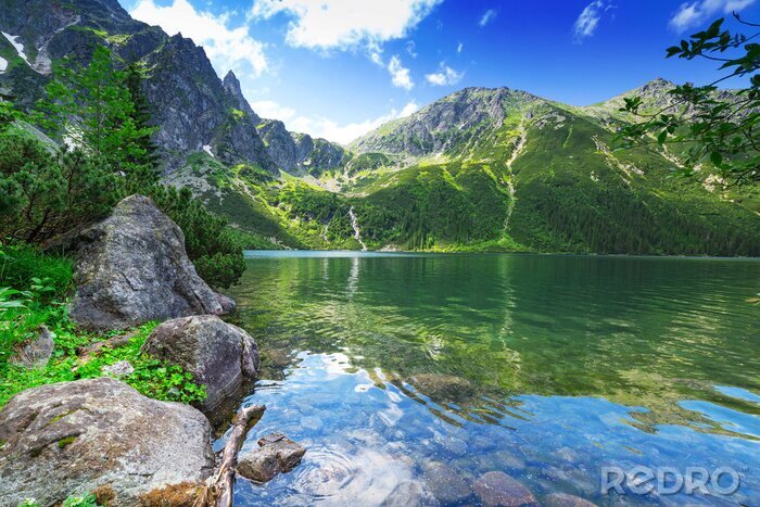 Fotobehang Groen en bergen van het Tatragebergte