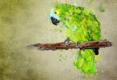 Fotobehang Groen geschilderde papegaai