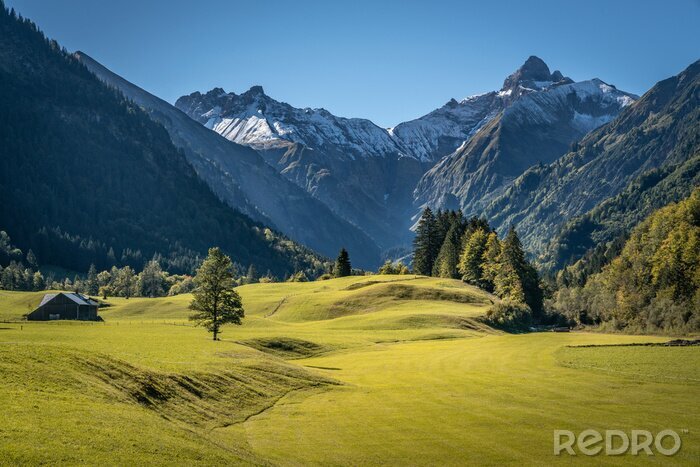 Fotobehang Groen gras en bergen