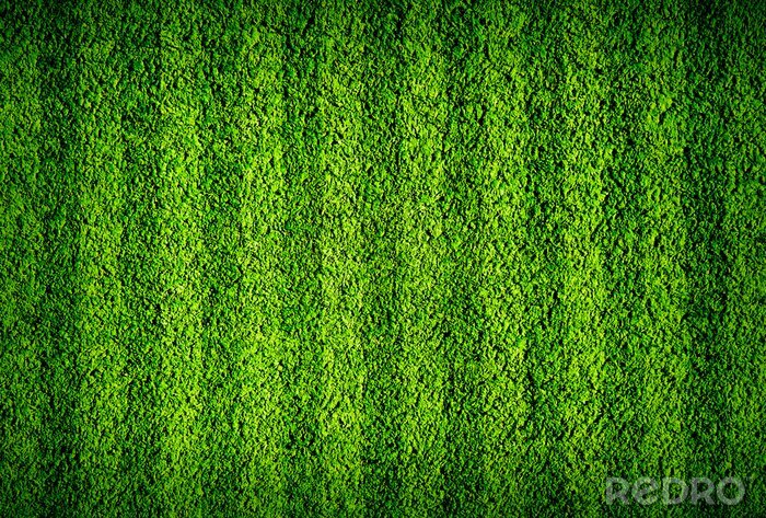 Fotobehang Groen gras op het sportveld