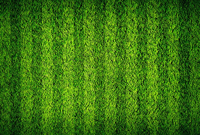 Fotobehang Groen gras op het sportveld