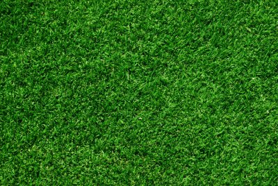 Fotobehang Groen gras van boven gezien