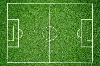 Fotobehang Groen grasveld