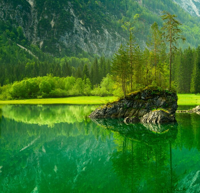 Fotobehang Groen landschap van bergen en planten
