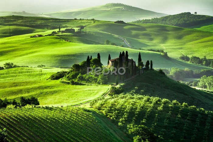 Fotobehang Groen landschap van Toscane