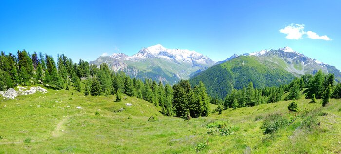 Fotobehang Groen panorama van de Alpen