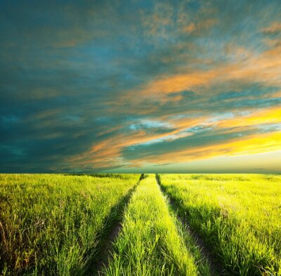 Fotobehang Groen veld en bewolkte hemel