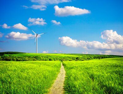 Fotobehang Groen veld en windmolens