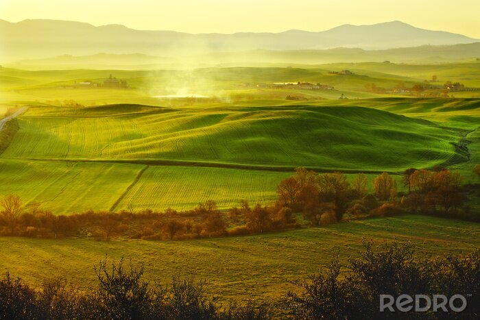 Fotobehang Groen veld in Toscane