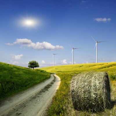 Fotobehang Groen veld met windmolens