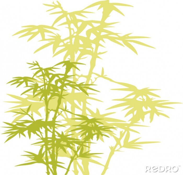 Fotobehang Groene bamboe illustratie