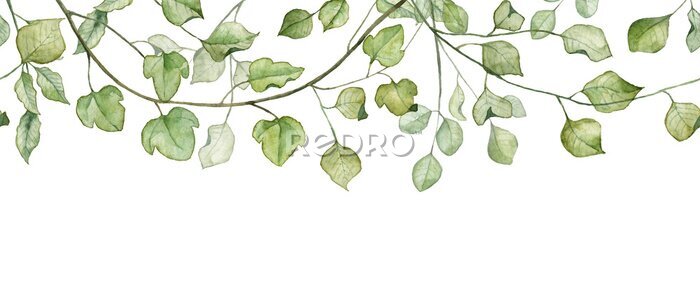 Fotobehang Groene bladeren op boomtakken in aquarelstijl