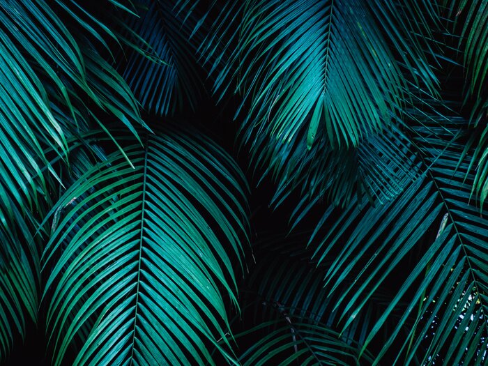 Fotobehang Groene bladeren van exotische planten