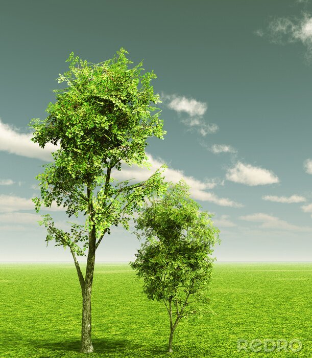 Fotobehang Groene bomen tegen de lucht
