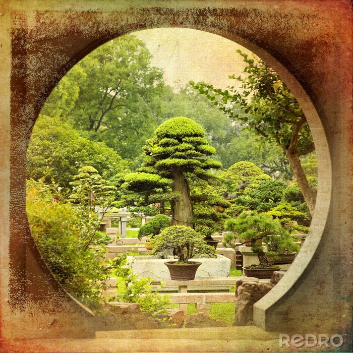 Fotobehang Groene Bonsaibomen