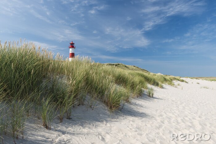 Fotobehang Groene duinen met een vuurtoren