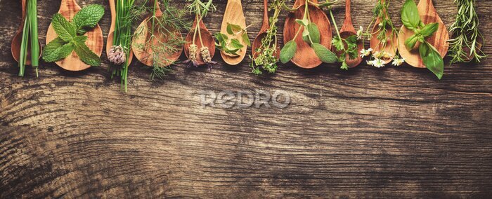 Fotobehang Groene kruiden op houten lepels