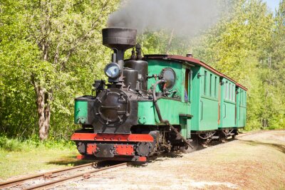 Fotobehang Groene locomotief trein bij een bos