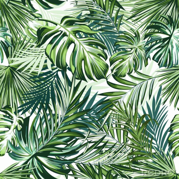 Fotobehang Groene palmbladeren