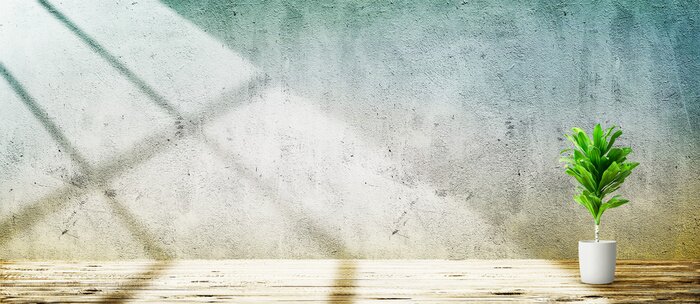 Fotobehang Groene plant voor een betonnen muur