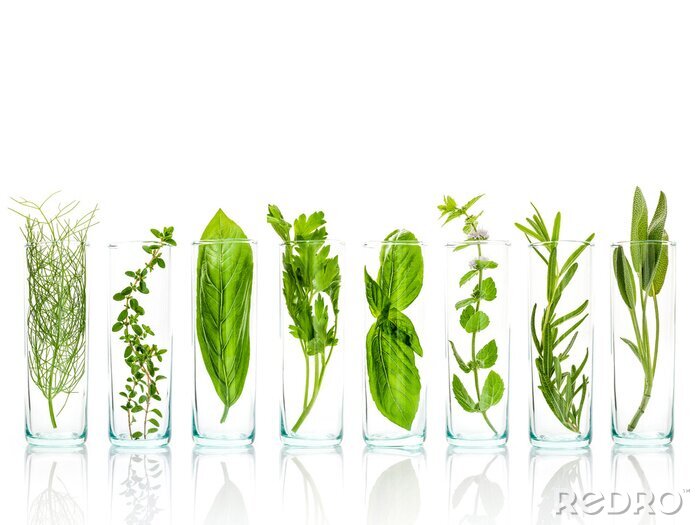 Fotobehang Groene planten in vazen