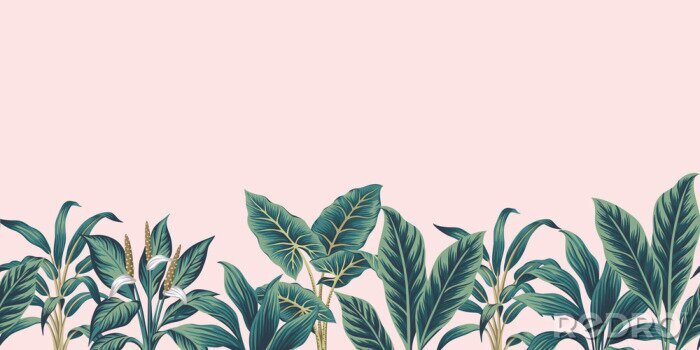 Fotobehang Groene planten op roze achtergrond