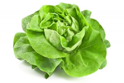 Fotobehang Groene salade