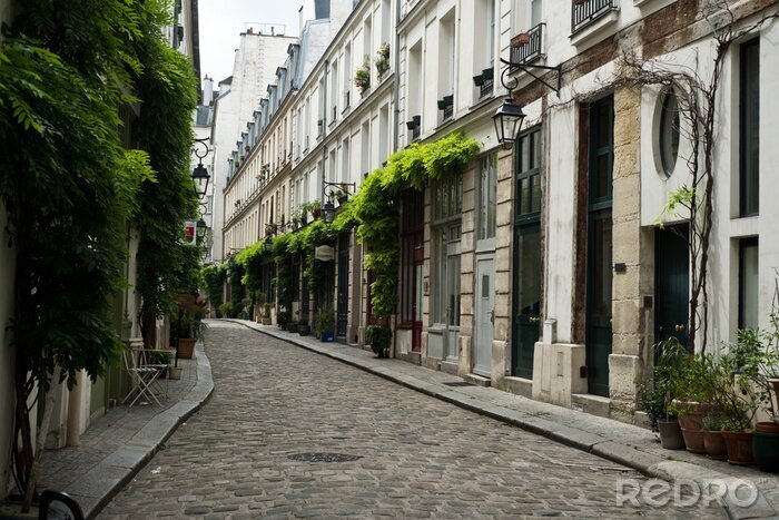 Fotobehang Groene straat van Parijs