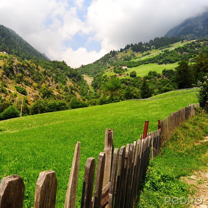 Fotobehang Groene velden op een achtergrond van bergen