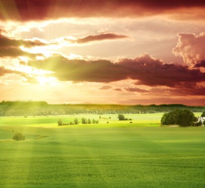 Fotobehang Groene velden op een achtergrond van zonsondergang