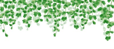 Fotobehang Groene wijnstokken met bladeren die erboven hangen