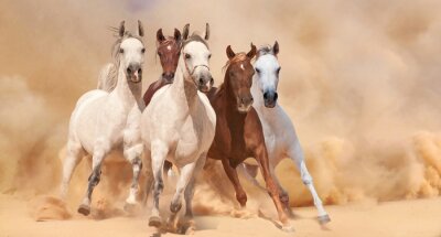 Groep rennende paarden in de woestijn