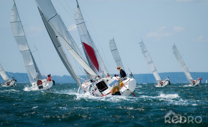 Fotobehang groep van jacht zeilen bij regatta