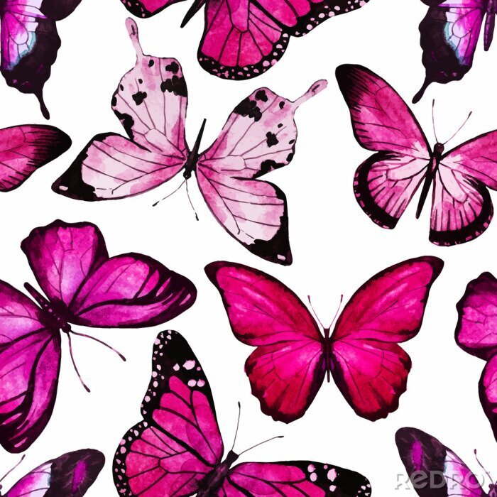 Fotobehang Grote roze vlinders op een witte achtergrond