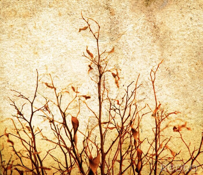 Fotobehang Grunge boom