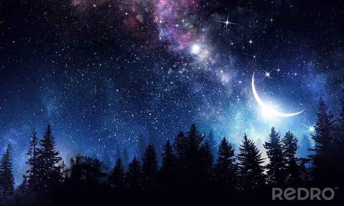 Fotobehang Halve maan boven het bos