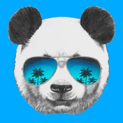 Hand getrokken portret van Panda met spiegel zonnebril. Vector geïsoleerd elementen