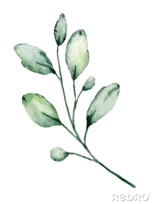 Fotobehang Handgeschilderde groene bladeren