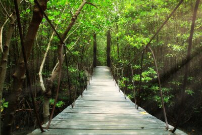 Fotobehang Hangbrug in het bos