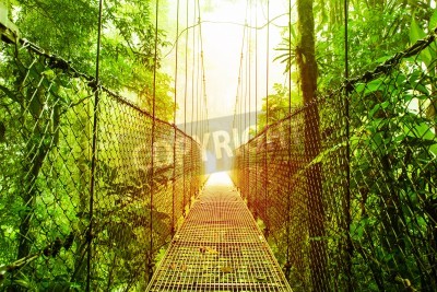 Fotobehang Hangbrug over de jungle
