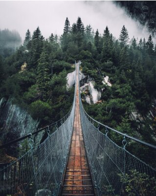Fotobehang Hangbrug over een mistig bos