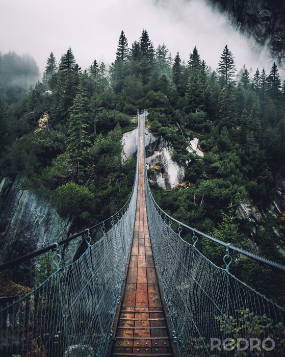 Fotobehang Hangbrug over een mistig bos