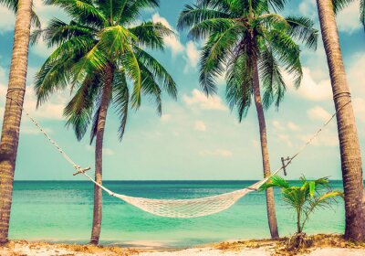 Fotobehang Hangmat aan palmbomen