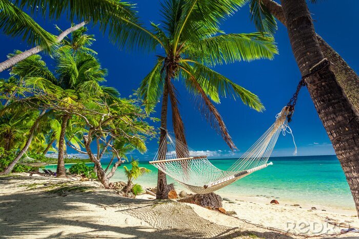 Fotobehang Hangmat aan palmbomen op het strand