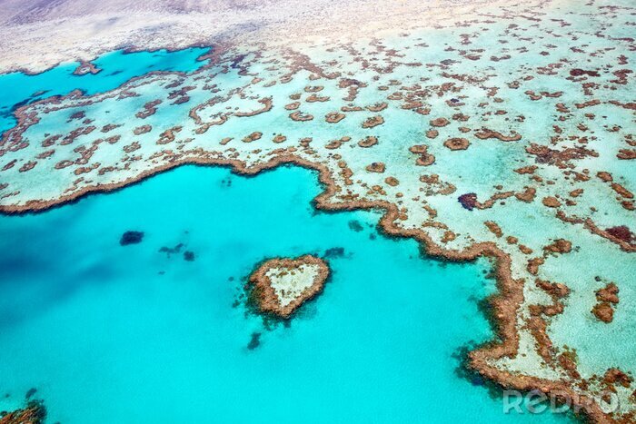 Fotobehang Heart Reef Whitsundays