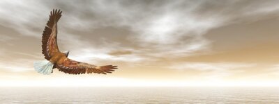 Fotobehang Helder panorama met adelaar