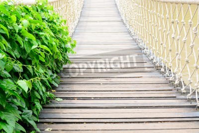 Fotobehang Heldere hangbrug met planten